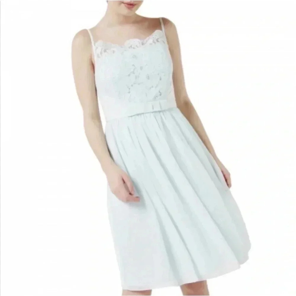 Ted Baker London | Lace Bodice Mimee Dress
